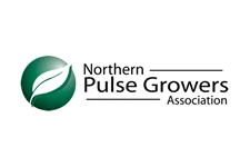 odney client:northernpulse.jpg